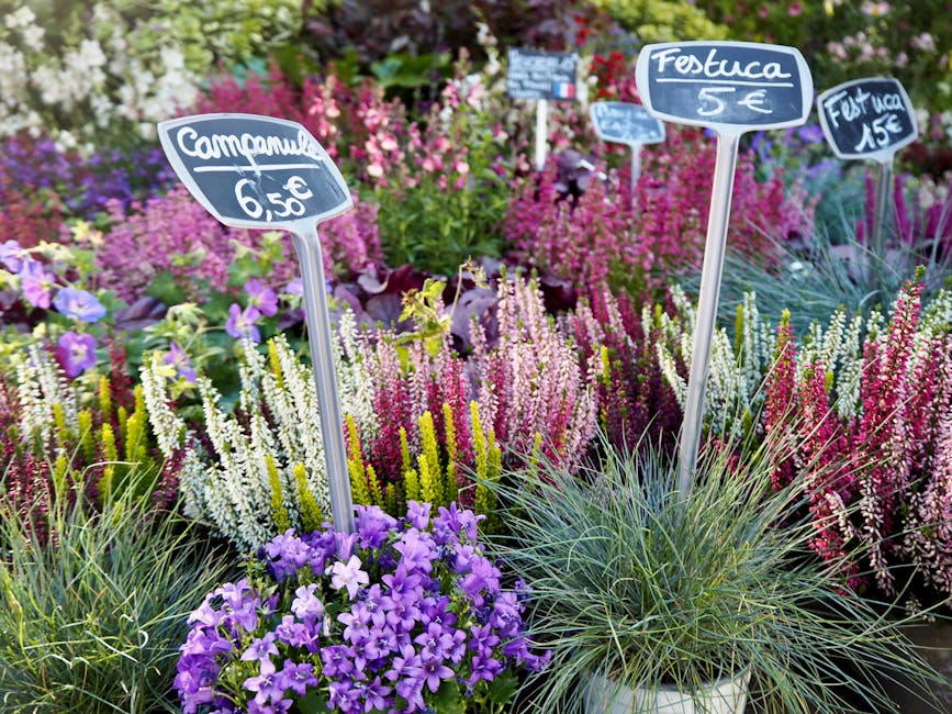 A vibrant garden bed densely populated with flowering plants in shades of purple, pink, white, and green. Several small chalkboard-style signs are inserted among the plants, displaying prices such as 'Compuse 6.50€', 'Festuca 5€', and 'Festuca 15€'. The signs are mounted on thin metal stakes and positioned to be visible above the foliage. The plants include a mix of flowering species and ornamental grasses, with some purple petunias and tall, slender clusters of heather or hebe. The background features additional text-based signs that are slightly blurred, indicating a display at a flower market or garden centre. The overall scene highlights the array of decorative garden plants available for purchase, with a focus on vibrant, well-maintained botanical displays that suit local garden aesthetics and outdoor ornamentation. The bright natural lighting emphasizes the colours and textures of the foliage and flowers, creating an inviting commercial display environment for garden enthusiasts.